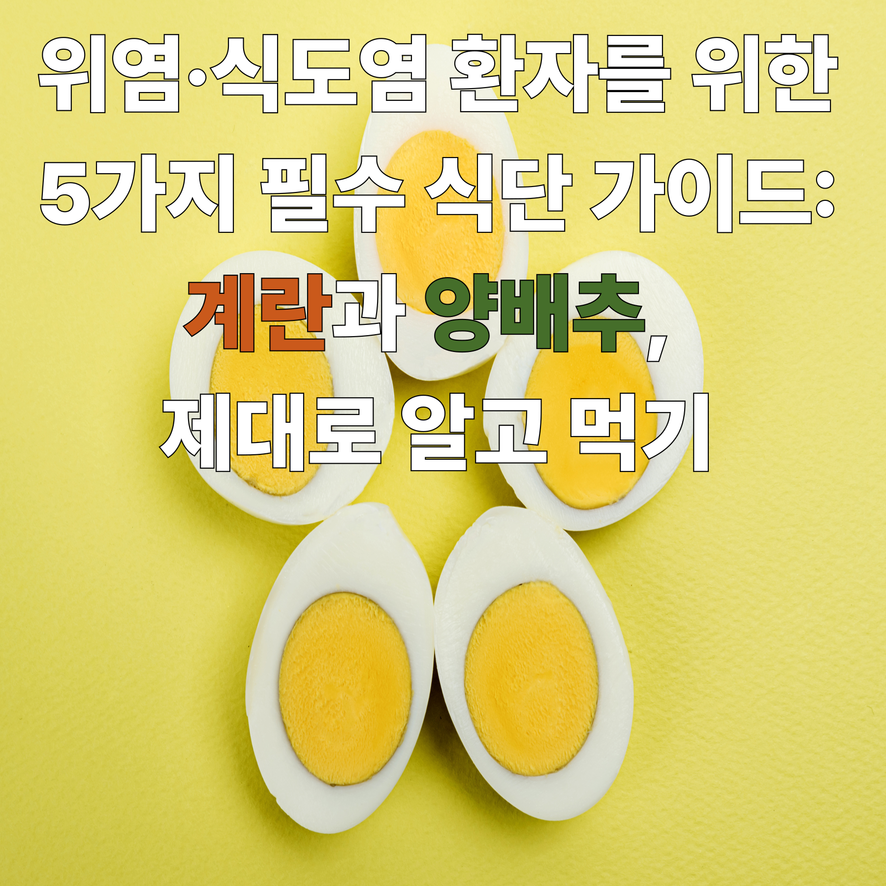 위염·식도염 환자를 위한 5가지 필수 식단 가이드: 계란과 양배추, 제대로 알고 먹기