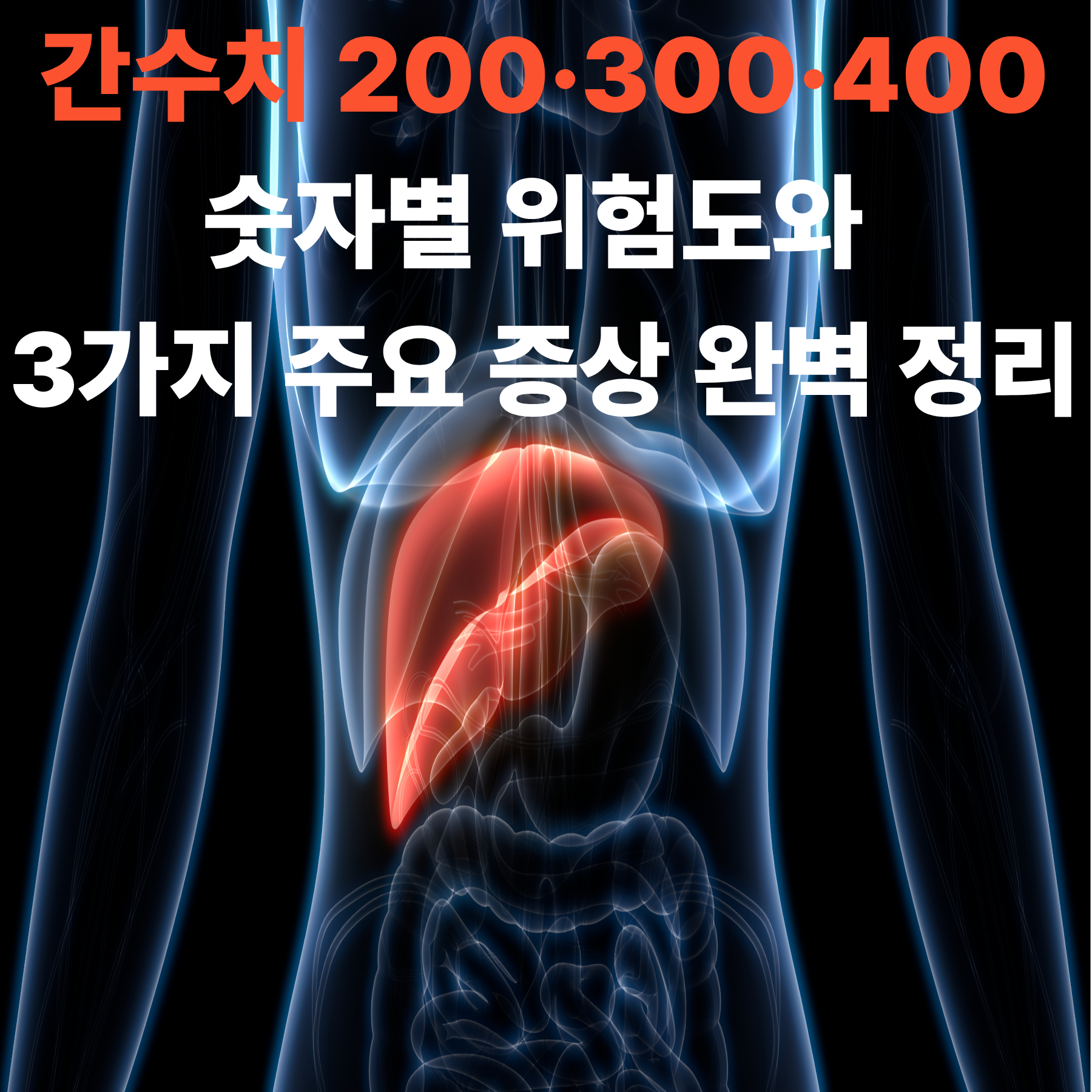 간수치 200·300·400 숫자별 위험도와 3가지 주요 증상 완벽 정리