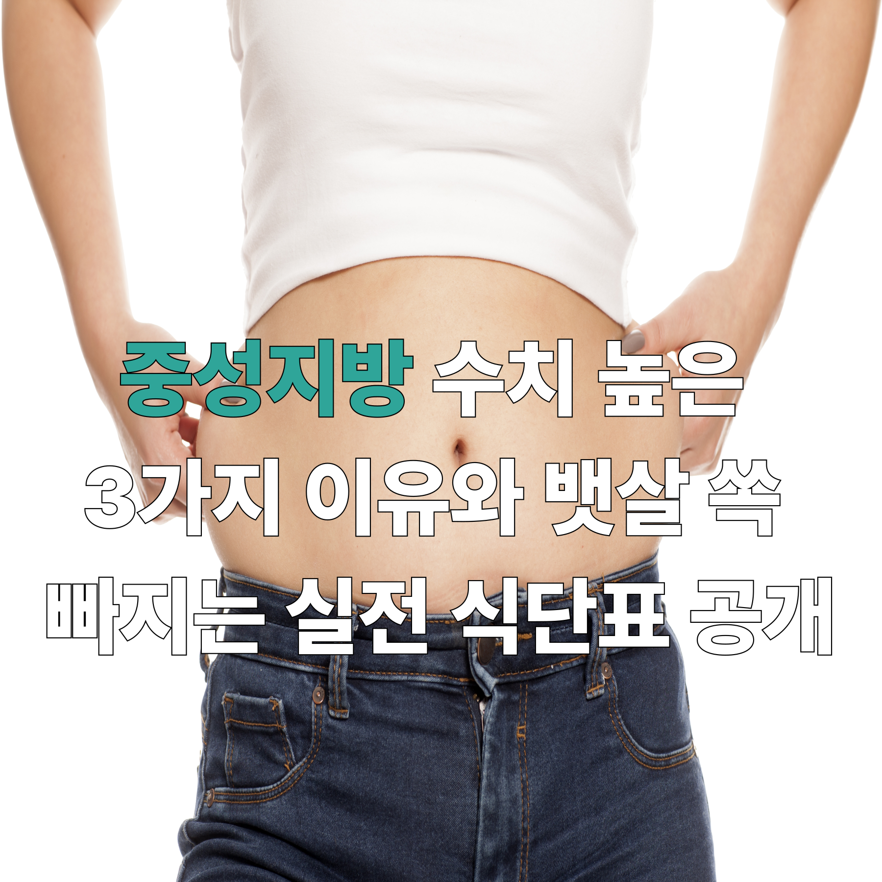 중성지방수치높은3가지이유와뱃살쏙빠지는실전식단표