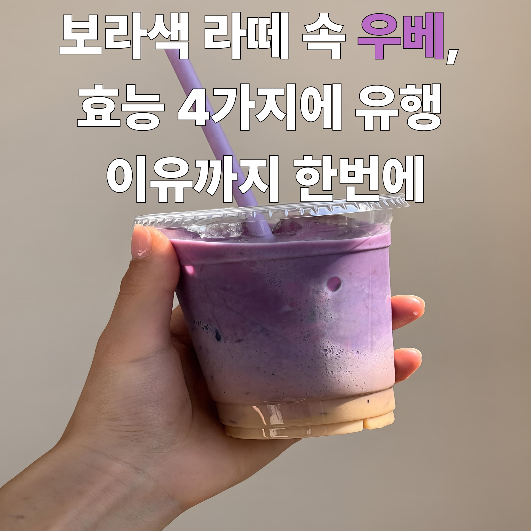 보라색 라떼 속 우베, 효능 4가지에 유행 이유까지한번에
